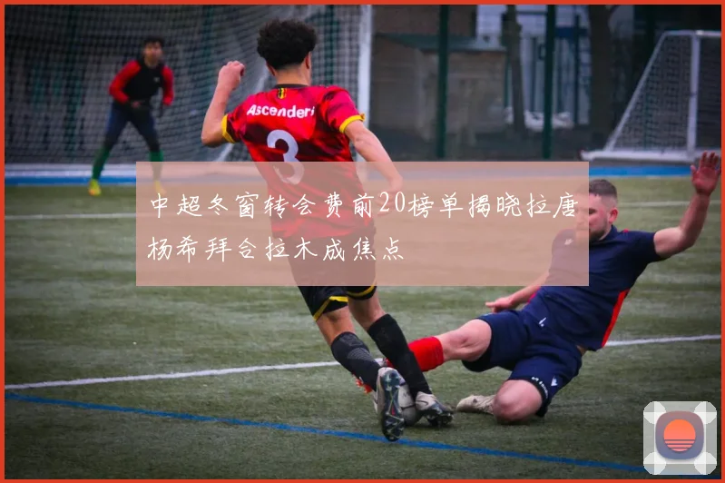 中超冬窗转会费前20榜单揭晓拉唐杨希拜合拉木成焦点