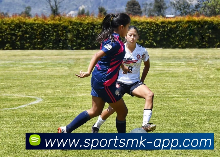 MK体育APP 封面图